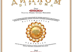 отель Энигма Крым Николаевка диплом